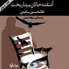 کتاب صوتی آشفته‌حالان بیداربخت