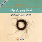 کتاب صوتی شکارچیان در برف