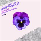 کتاب صوتی در گذرگاه جهان