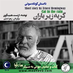 کتاب صوتی گربه زیر باران