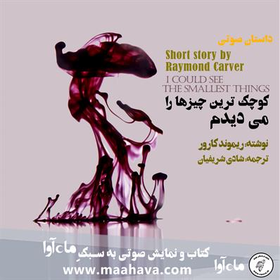 کتاب صوتی کوچک‌ترین چیزها را می‌دیدم