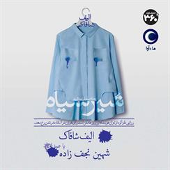 کتاب صوتی شیر سیاه