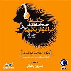 کتاب صوتی چگونه جوجه تیغی را در آغوش بگیریم