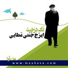 کتاب صوتی تک درخت