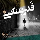 کتاب صوتی قدر شناسی